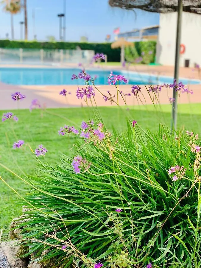 Sun&Life Girolamar Apartman Fuengirola 0*,
